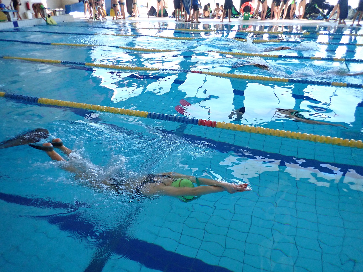 Resultados y puntuación 4ª jornada JDN de natación con aletas